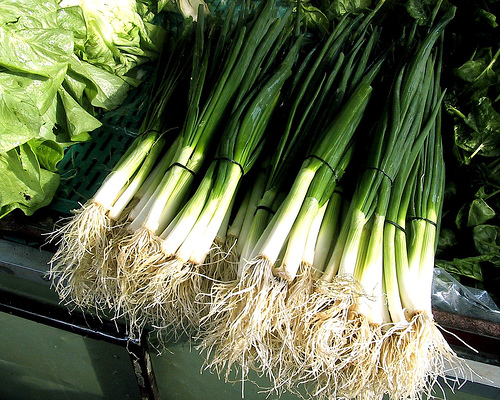 luk, zdravlje, mladi luk, blagodati, mladi luk, zdravlje, razlozi, mladi luk, razlozi
