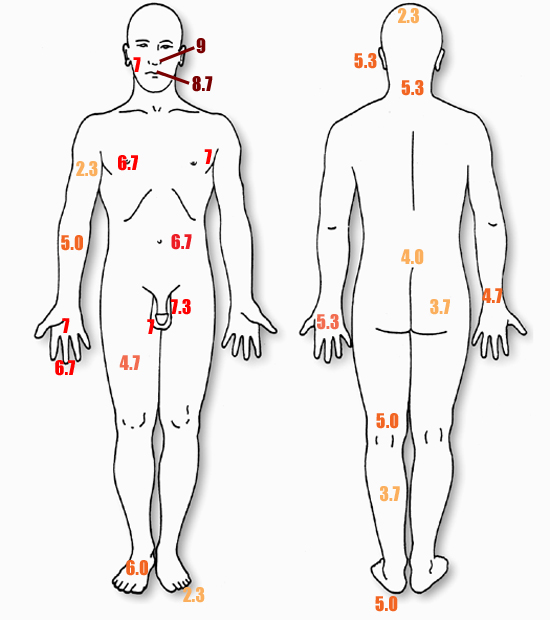 pčela, Razina boli, ubod pčele, ljudski znoj, Schmidt Sting Pain Index, ubod insekata, indeks boli