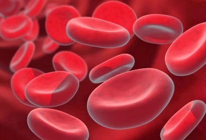 zdravlje, hrana za jelo, željezo