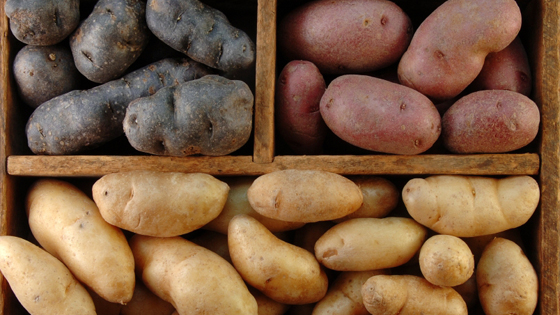 krumpir, povrće, ekološki čista namirnica, dobar za zdravlje, kukoamin, krumpir, Krumpir kao lijek, Pomfrit, sok od krumpira, za liječenje　gastritisa, Jača imunitet, čisti organizam, Protiv raka, bolesti jetre i bubrega, štiti od kardiovaskularnih bolesti, voće i povrće, guljenje, kora