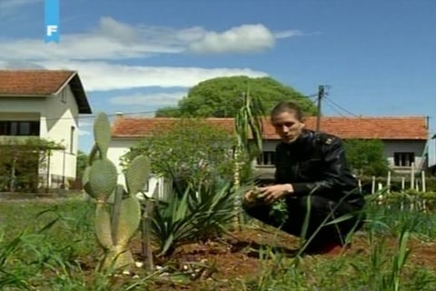 Petar Dugandžić, Ljubuški, botanički vrt