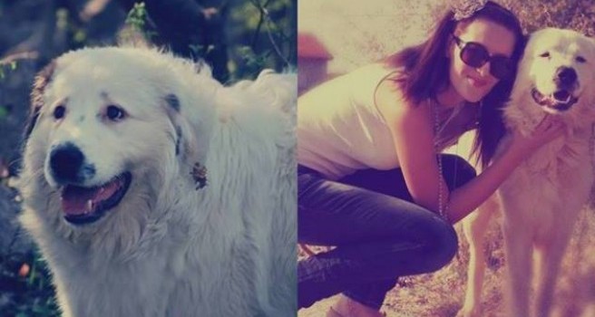 Martina Mlinarević - Sopta