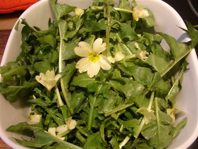 salata, Listove maslačka, ljekovitu salatu od maslačka, orah, salata, začini, zdravlje