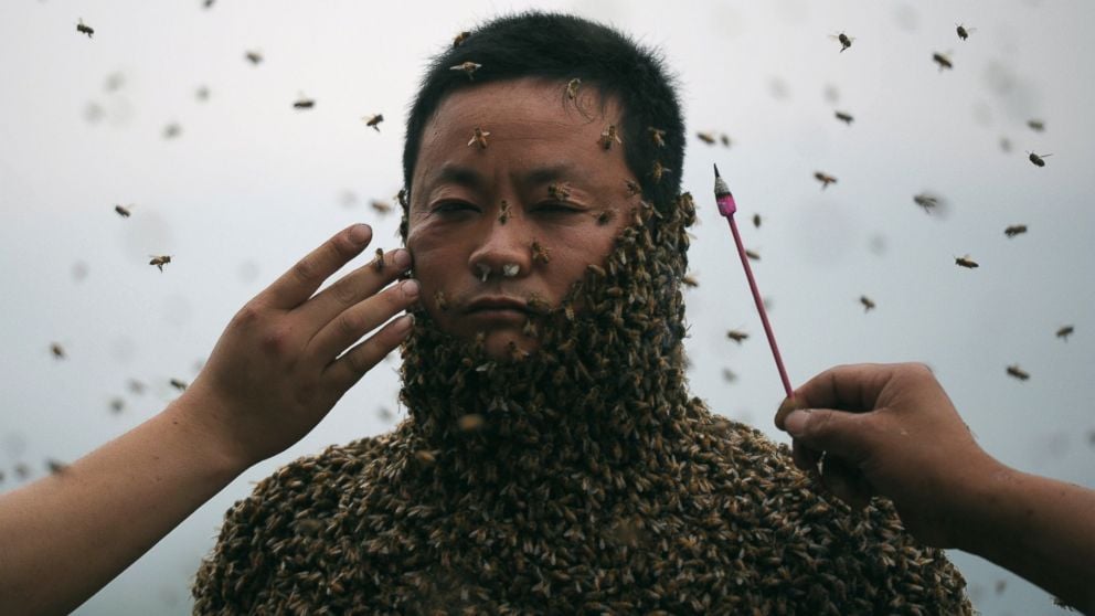 She Ping, prekrio tijelo pčelama, pčele