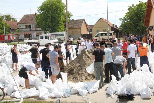 Torcida, Bad Blue Boysi, kohorta, Ultras