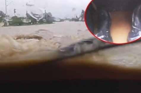 auto, amfibija, poplave