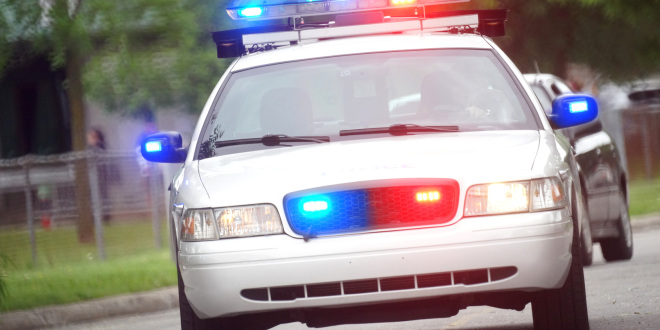 crna kronika, teška prometna nesreća, Batajnica, pogibja, kriminalci, presuda, Zijad Turković, Australija, Policija u Queenslandu,  Sydney grad, Francuska, čedomorstvo