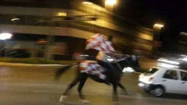 Split, konj, navijač