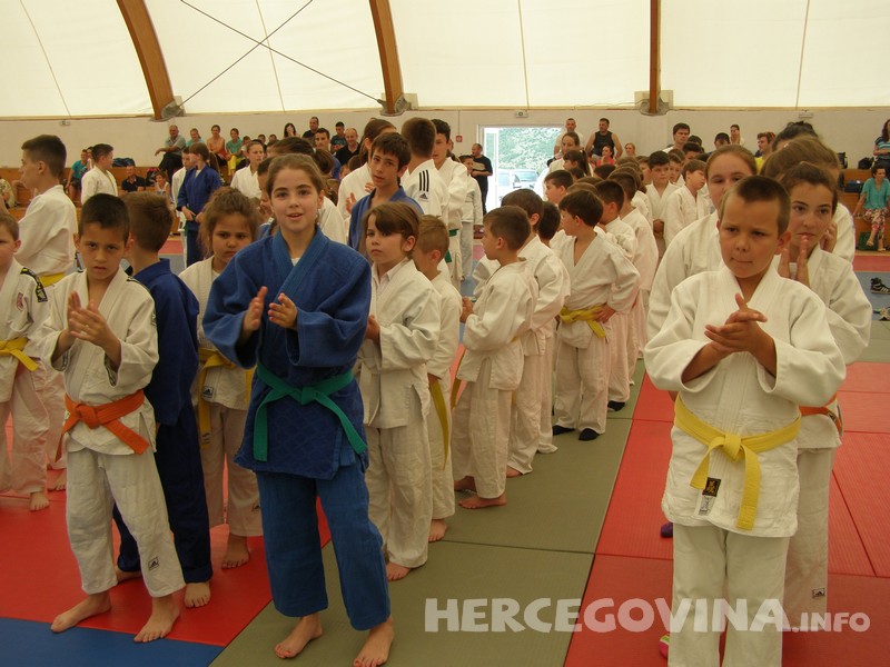 Judo kup Berkovića 2014