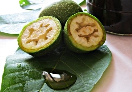 bronhitis, Sastojci, lijekovi, ljekovito bilje, ljekovita svojstva