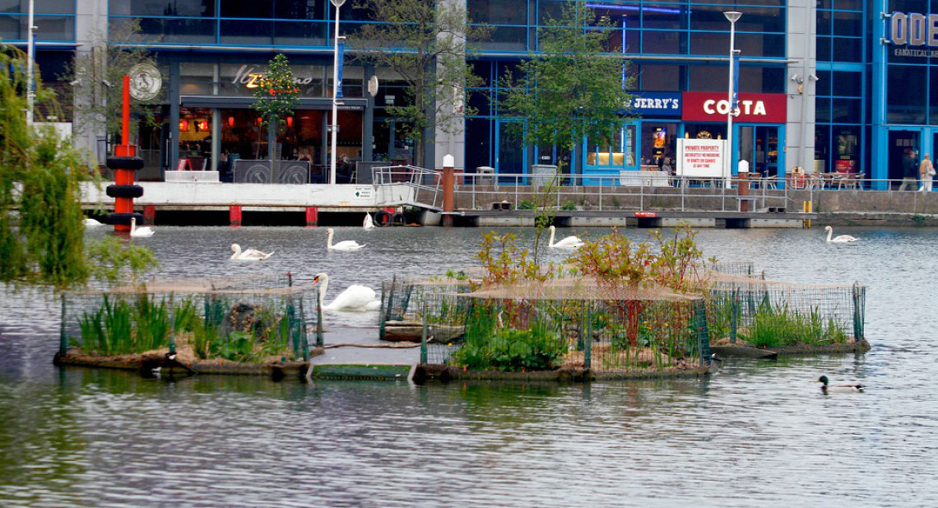 Biomatrix , modularni otok, otok, pročišćavanja voda 