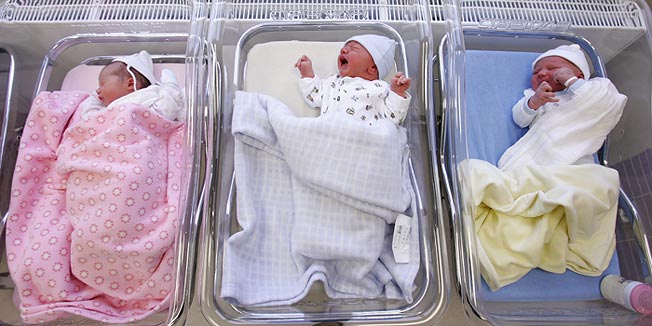 surogat otac, Tajland, bebe, dječak, mozak, djevojčica, porodiljsko, rodilja, djeca, imena