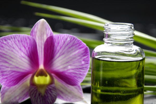 ulja geranija, eterična ulja, ljekovi, Ljekovito djelovanje, ljekovito bilje, Ulje čajevca, plijesan, gljivice, ulje, klima, klima uređaj, miris