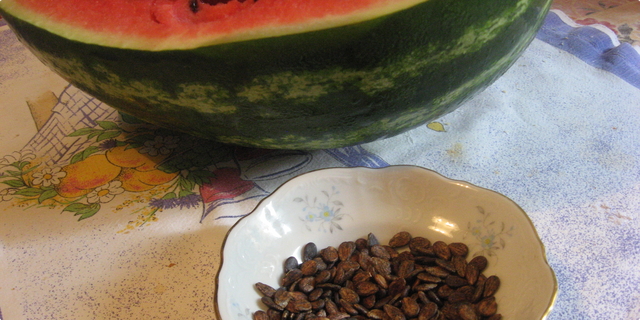 koštice, lubenica, protiv bakterija, Escherichia coli