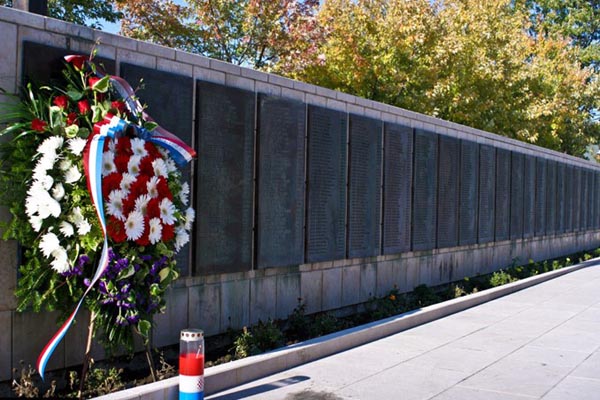 Čapljina, krađa navika