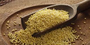 Proso, žitarice, kamenje iz bubrega, ljekovita svojstva, stvaranje kamenca