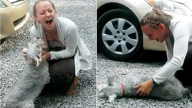 Pas, vlasnica, uzbuđenje