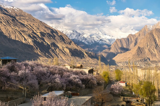 narod, dugovječnost, život