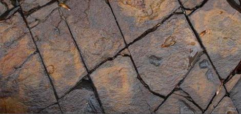 Izložba, izložba fotografija, Zdrinko Brekalo