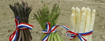 šparoga, Divlja šparoga, ljekovita svojstva, ljekovita biljka, snižava kolesterol 