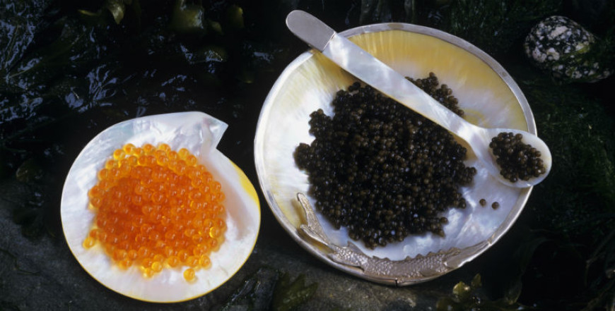 hrana za jelo, najskuplja hrana