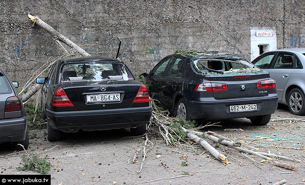 Mostar, drveće, pilanje