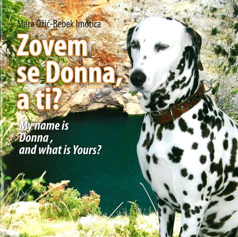 matica hrvatska, matica hrvatska čitluk, Izložba, knjiga