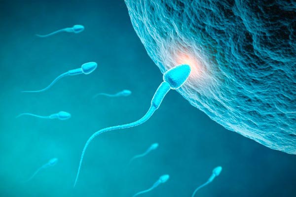 spermici