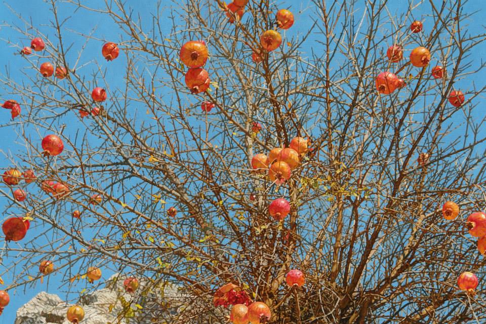 Marin Topić, šipci