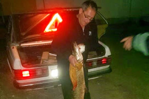 grab, ribar, Ljubuški, Nenad Hrstić