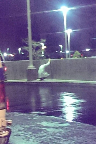 patnja, doktor, svijet oko nas