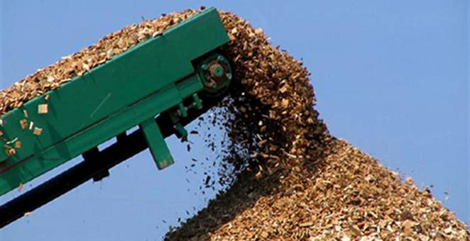 biomasa, drvna biomasa