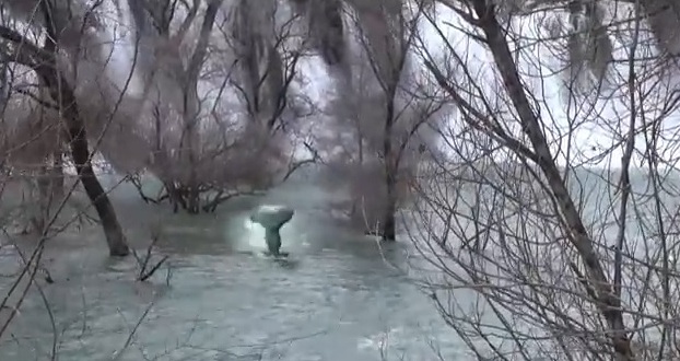 sirena, kravice, vodopad kravice