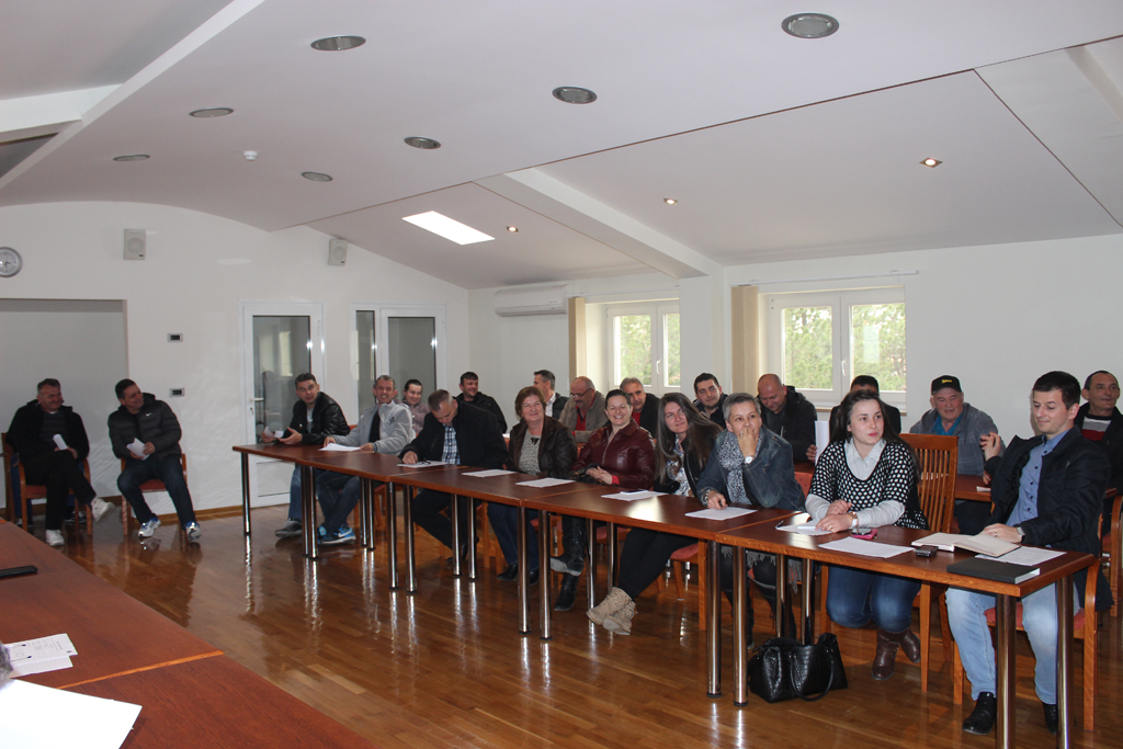 Posušje, krastavac, krastavci, kiseli krastavci