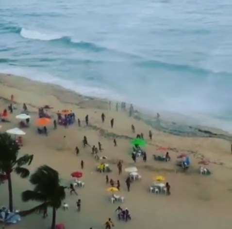 pijavica, kupači, Brazil, plaža