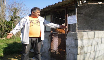 kokošinjac, Neretva