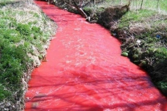 Srbija, crvena rijeka, topola