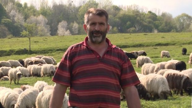 planine, čoban, posao, BIH