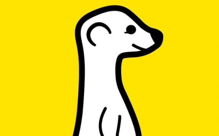 meerkat