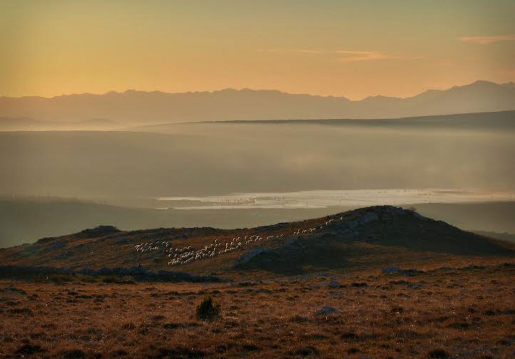 Dragan Marijanović, hodopisi, priče iz hercegovine