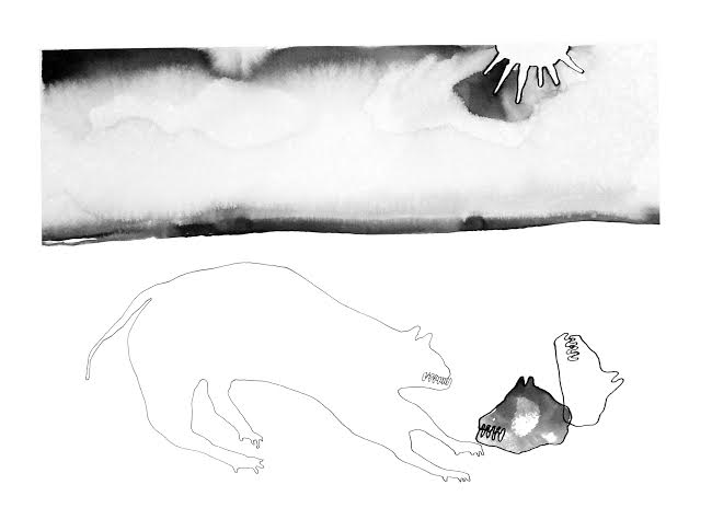 vilim parić, Dubrovnik, Izložba