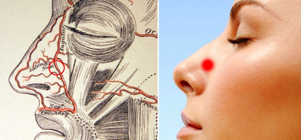 krv, krv iz nosa, za zaustavljanje krvarenja