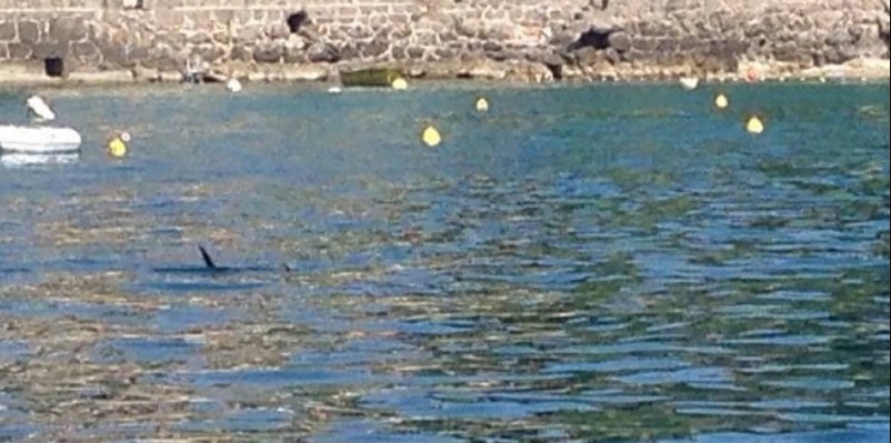 turisti, more, panika