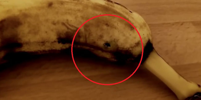 banana, pauk, jabuka