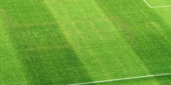 HNS, HNS, Davor Šuker, jna, domovinski rat, udbaški aparat, UDBA, UEFA, HNS, NS BIH, Poljud, svastika, Policijski dužnosnici, Hrvatska zemlja, italija, BIH, Hrvatska zemlja, kazne, svastika, kukasti križ, Poljud, svastika, HNS, Hrvatska, kazna, Poljud, svastika, Disciplinska komisija UEFA, UEFA, Hrvatska