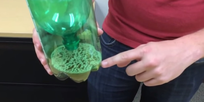 komarci, tigrasti komarci, zamka