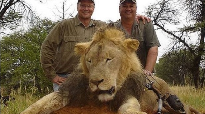 Walter Palmer