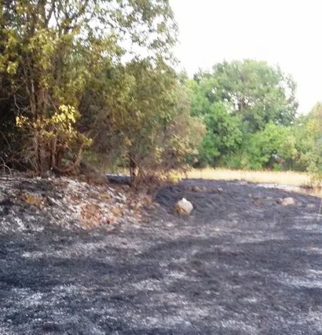 vatrogasci, požar, Čitluk