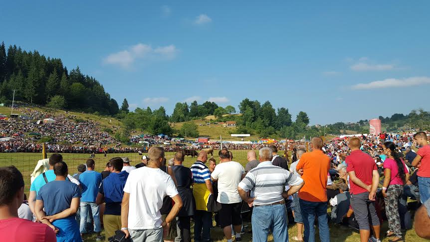 Čevljanovići:, korida