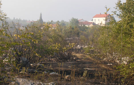 Čitluk, požar, vatrogasci